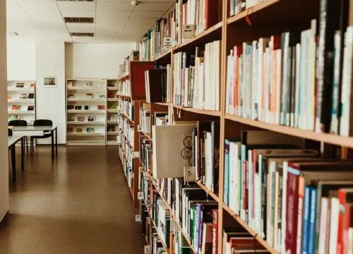 Mumbai International School - Library